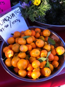 tasty little cumquats begging to be candied