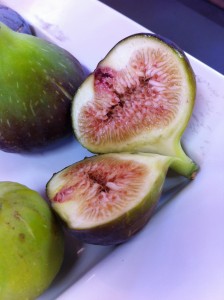Brown Turkey figs