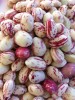 Borlotti beans