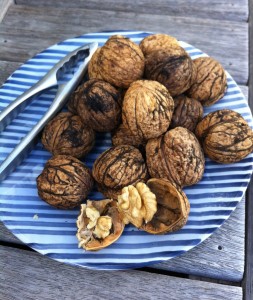Fresh crop of walnuts not to be missed